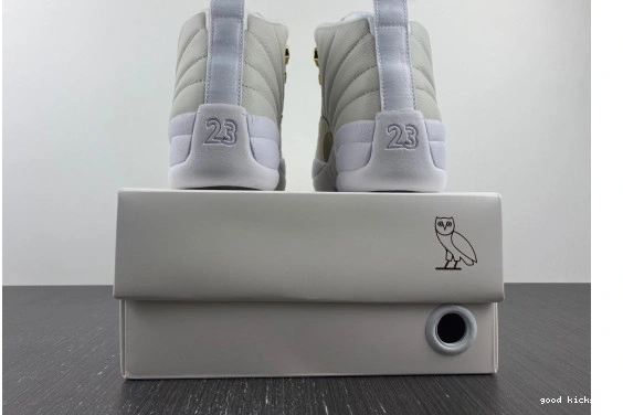 873864-102 OVO White Jordan Retro 12 873864-102 0425